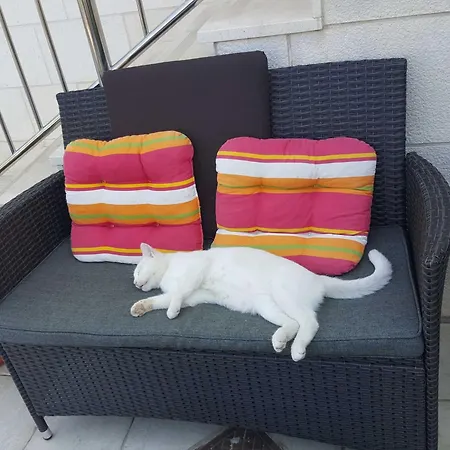 Διαμέρισμα Ira - Studio With Terrace 3 Adults